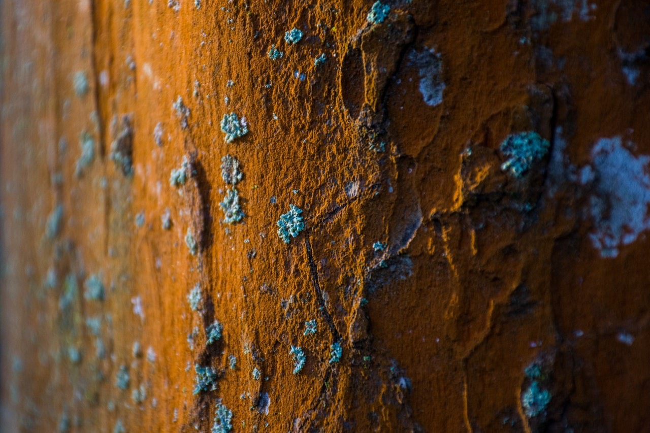 Corrosion Tests